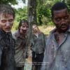 Trailer de la segunda temporada de THE WALKING DEAD